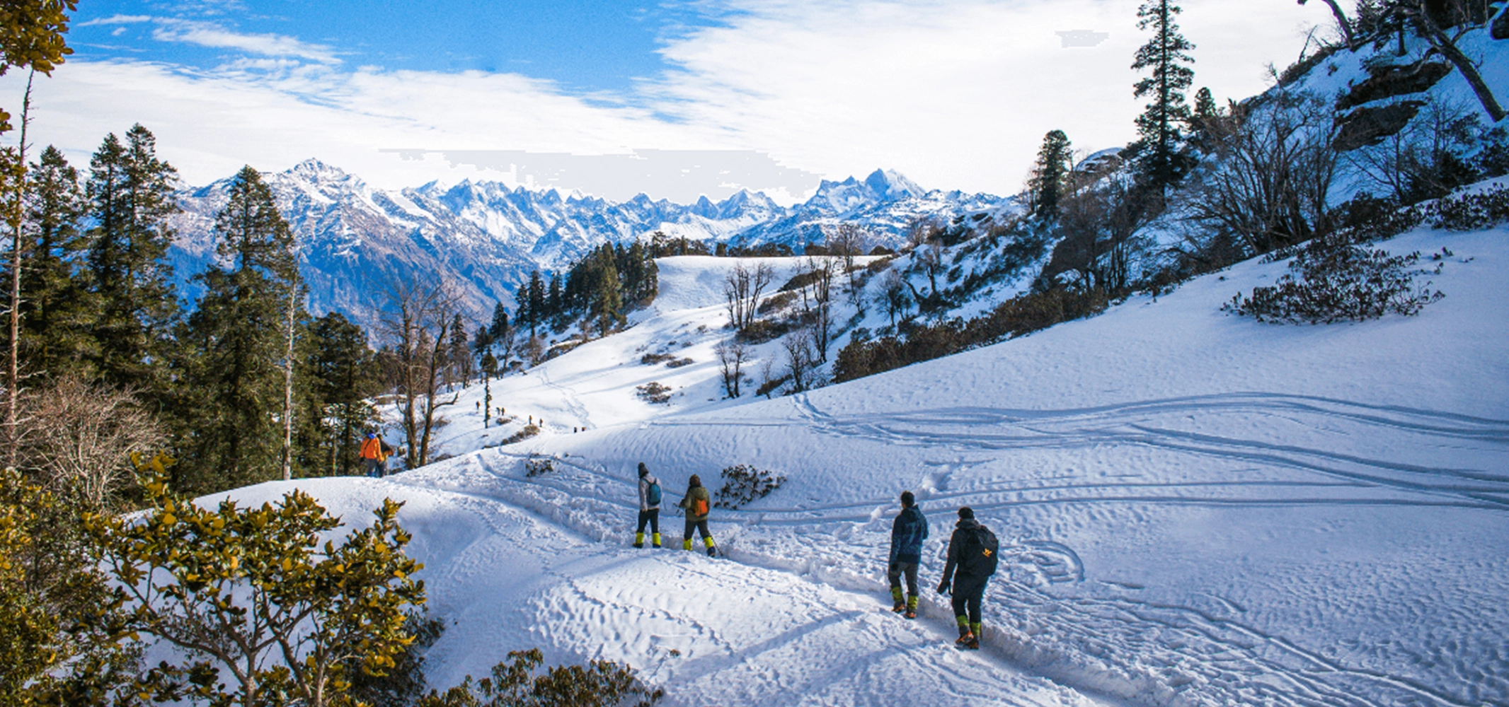 Snow View Point