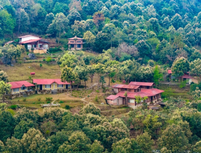 Foggy forested mountain retreat
