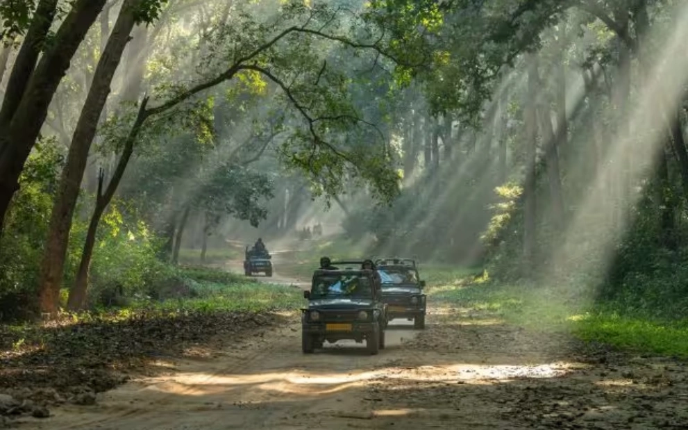 Jim Corbett National Park